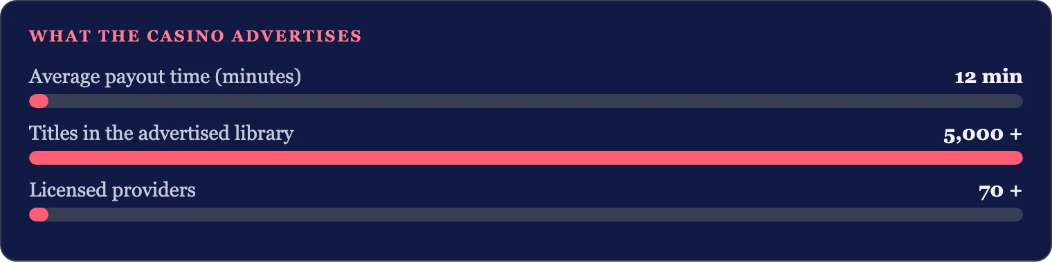 OzzyBet in its own numbers